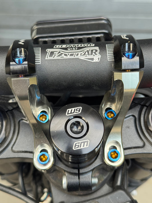 Titanium Direct Mount Stem Bolts